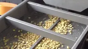 Desengrasadora Vibratoria