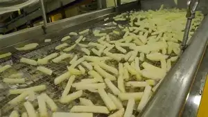Línea de Producción de Papas Fritas Congeladas
