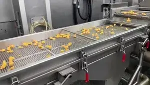 Línea de Producción de Empanizados