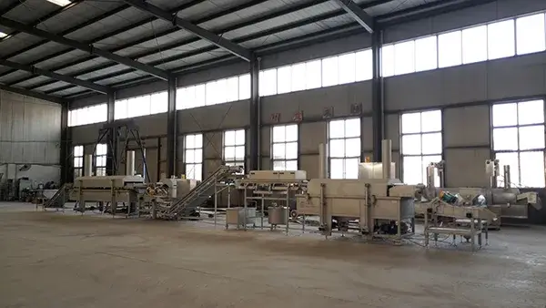 Línea de Producción de Chips de Plátano