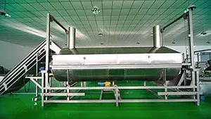 Freidora de Frutos Secos (Freidora de Inmersión Continua)