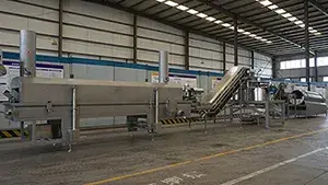 Freidora de Botanas (Freidora Continua)