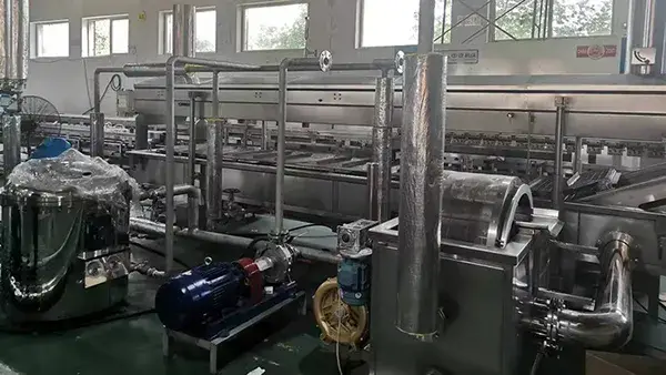 Línea de Producción de Papas Fritas Congeladas