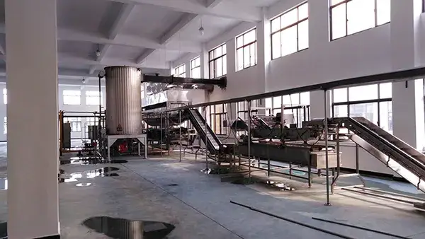 Línea de Producción de Frutos Secos Sazonados