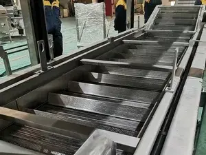 Línea de Producción de Frutos Secos Sazonados