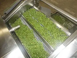 Línea de Producción de Frutos Secos Sazonados